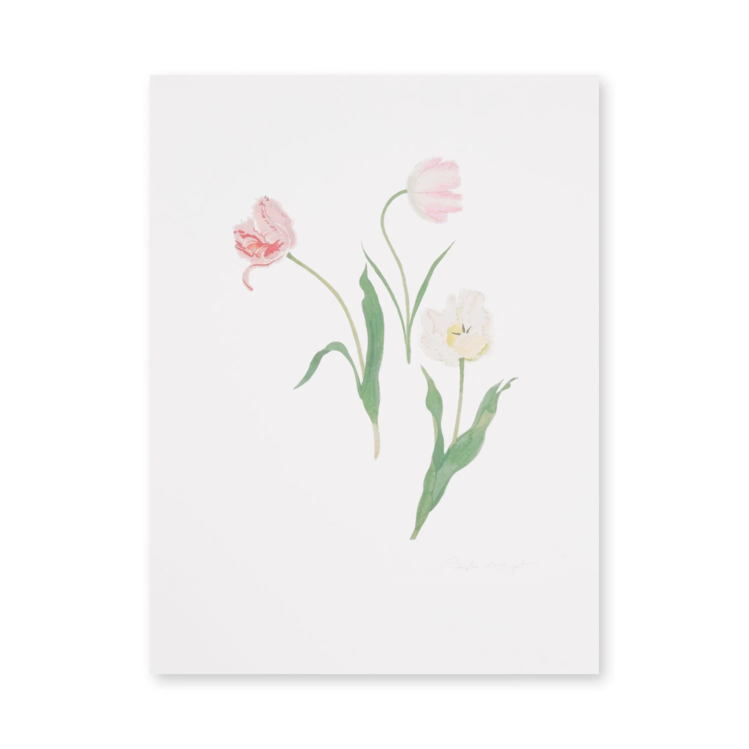 Multi Tulips Print - Image 4