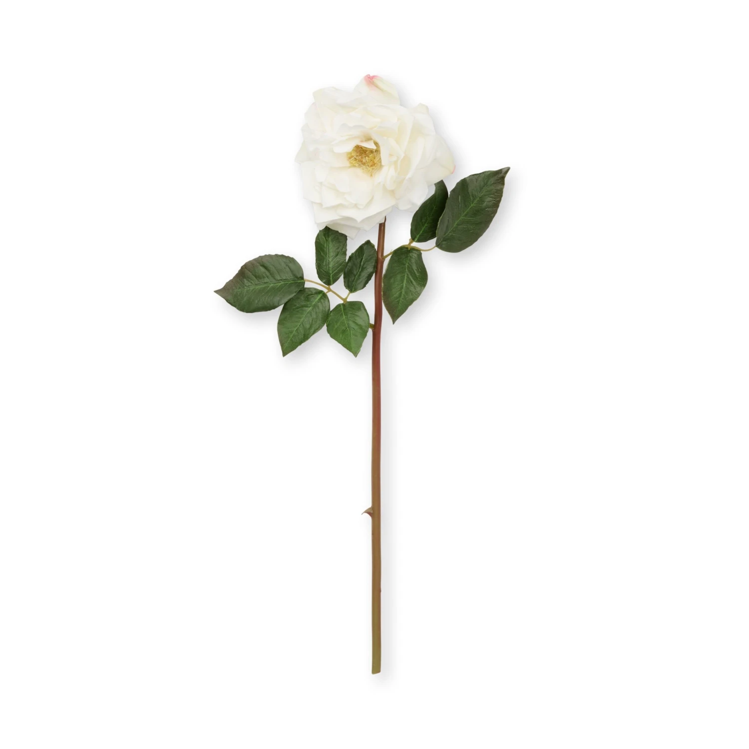 Faux Garden Rose - White - Image 3