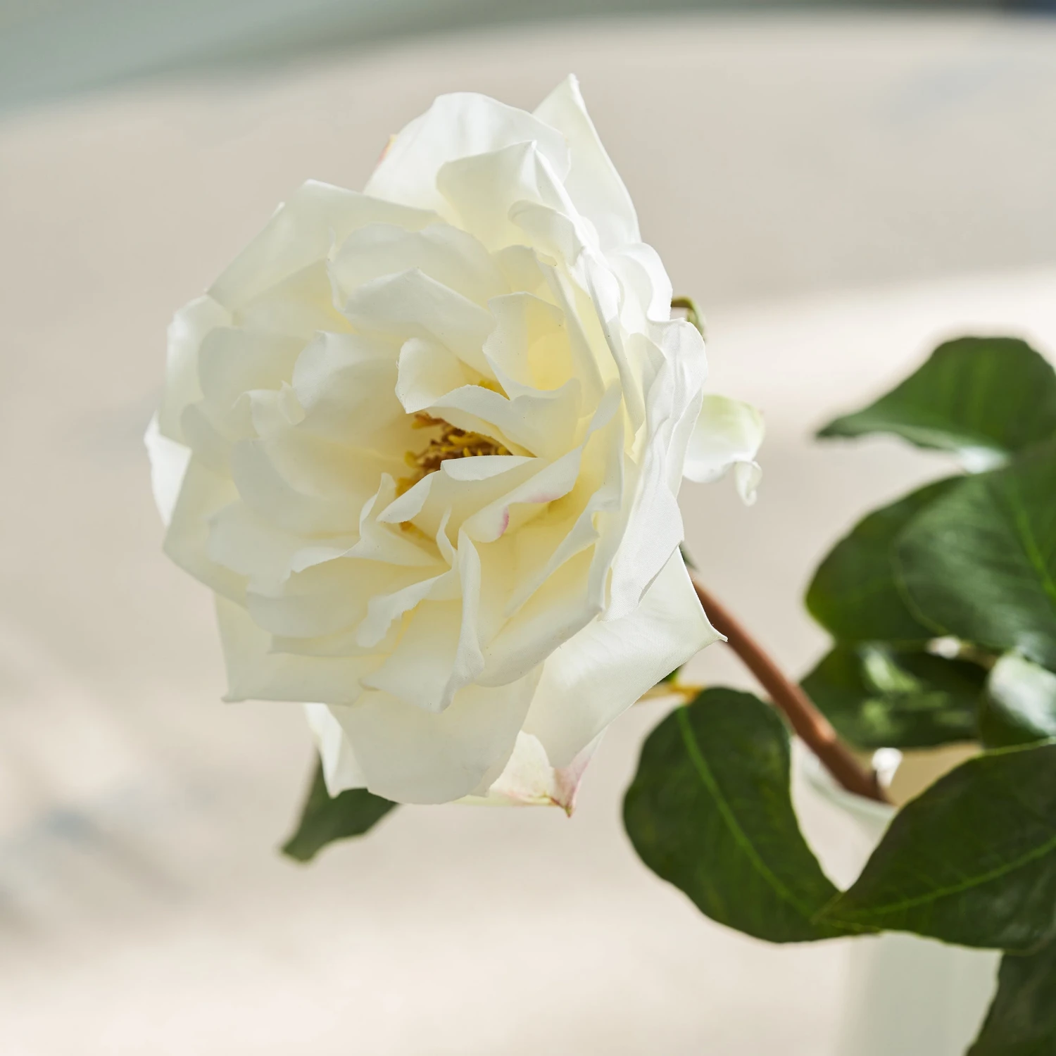 Faux Garden Rose - White - Image 2