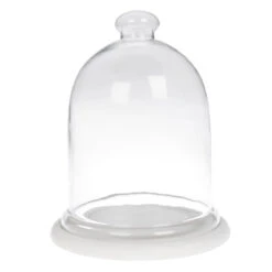 Large Glass Cloche