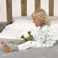 Dinosaur Kids Pyjamas