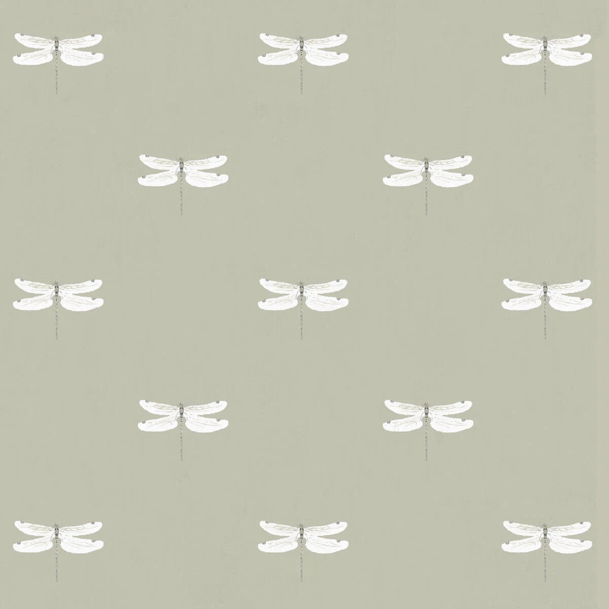 Dragonfly Sand Made To Measure Roller Blind - Image 2