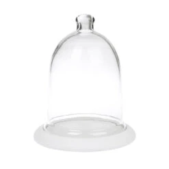 Glass Cloche With Wooden Base