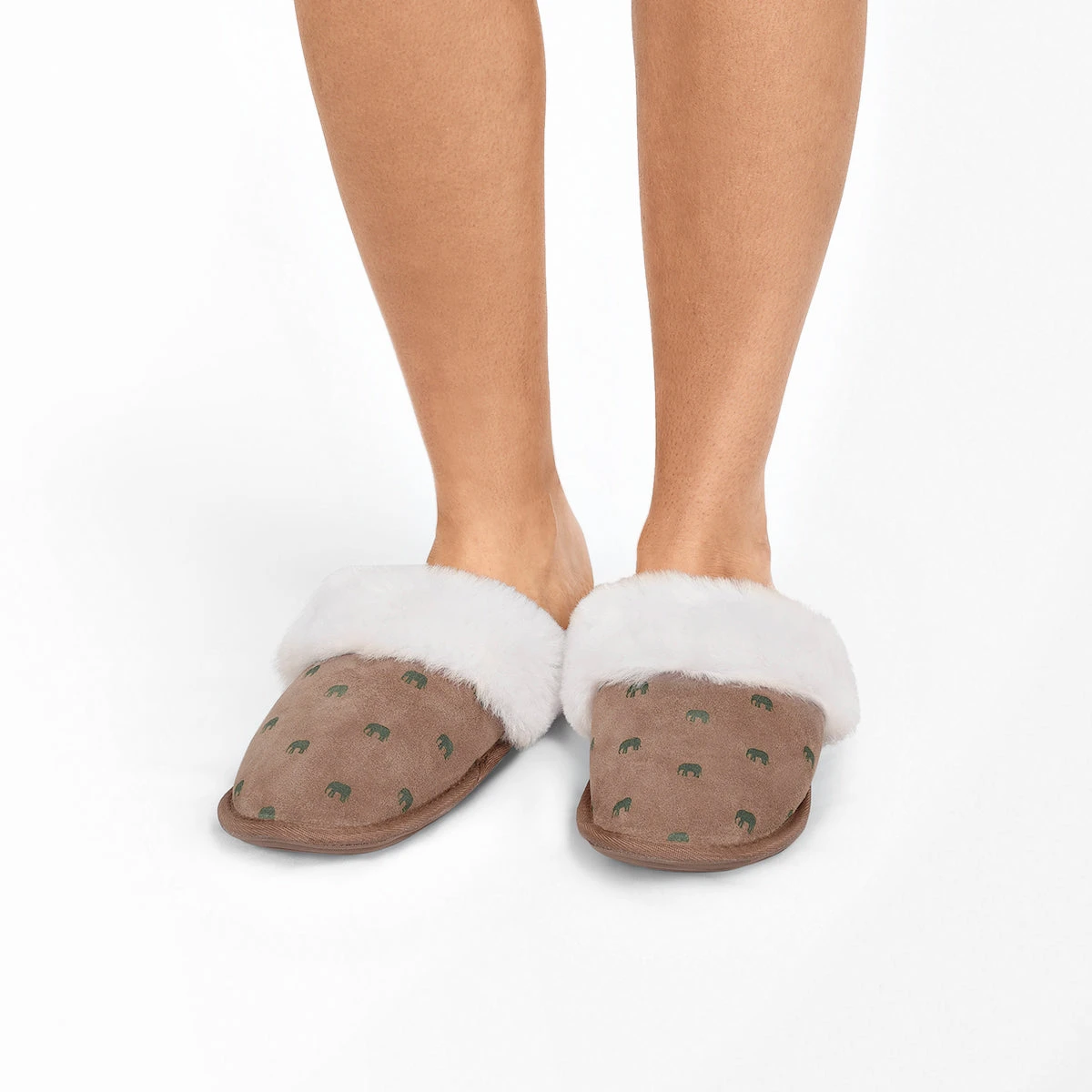 Elephant Slippers - Image 3